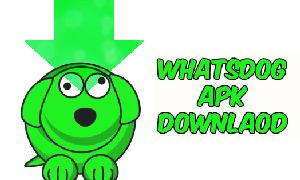How to Use Mac Address to Hack Whatsapp