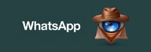 Whatsapp Hack Pro Download