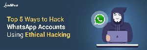 Whatsapp Hack Tool Download Free for Pc Windows 10