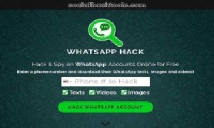 Whatsapp Hack Human Verification