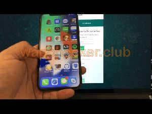 Whatsapp Msg Backup Hack