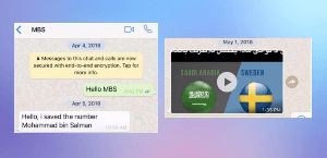 Can Possible to Hack Whatsapp